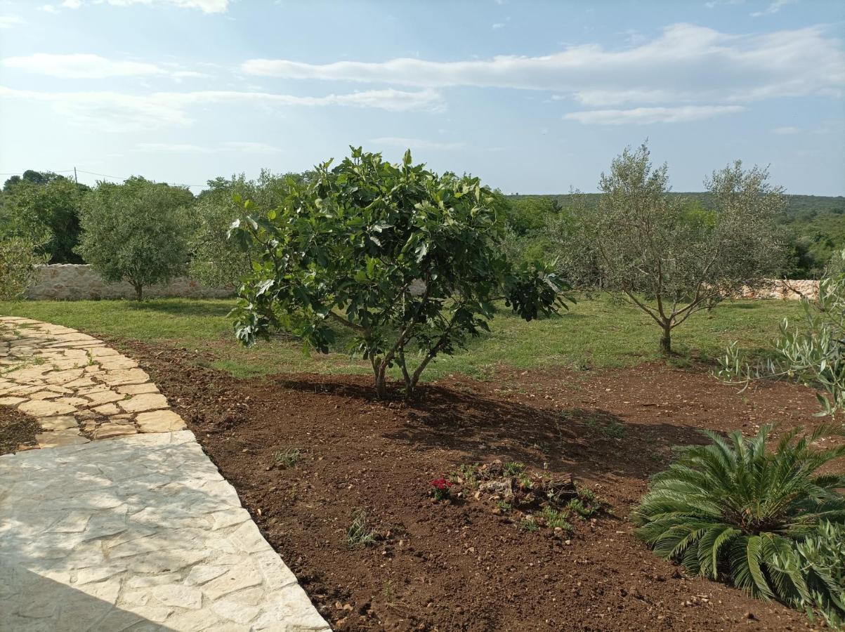 New 2023 Villa Tree Of Life Sveti Petar  Exterior photo