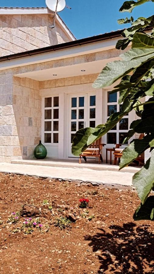 New 2023 Villa Tree Of Life Sveti Petar  Exterior photo